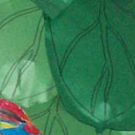 rainforest thumbnail