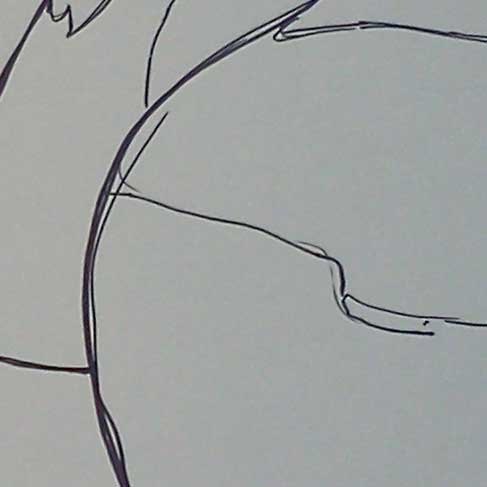 lineobservation thumbnail