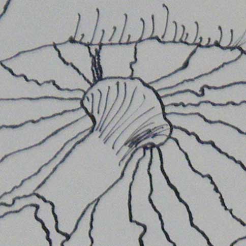 mushroomcontour2 thumbnail