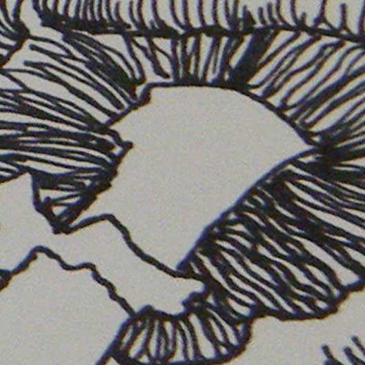 mushroomcontour thumbnail