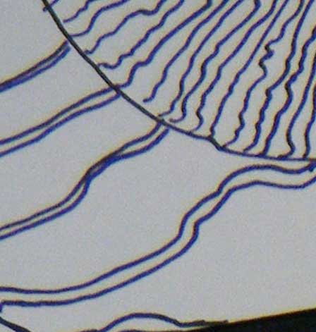 mushroomzoom thumbnail