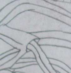 linedrawing thumbnail