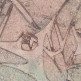 watercolor thumbnail